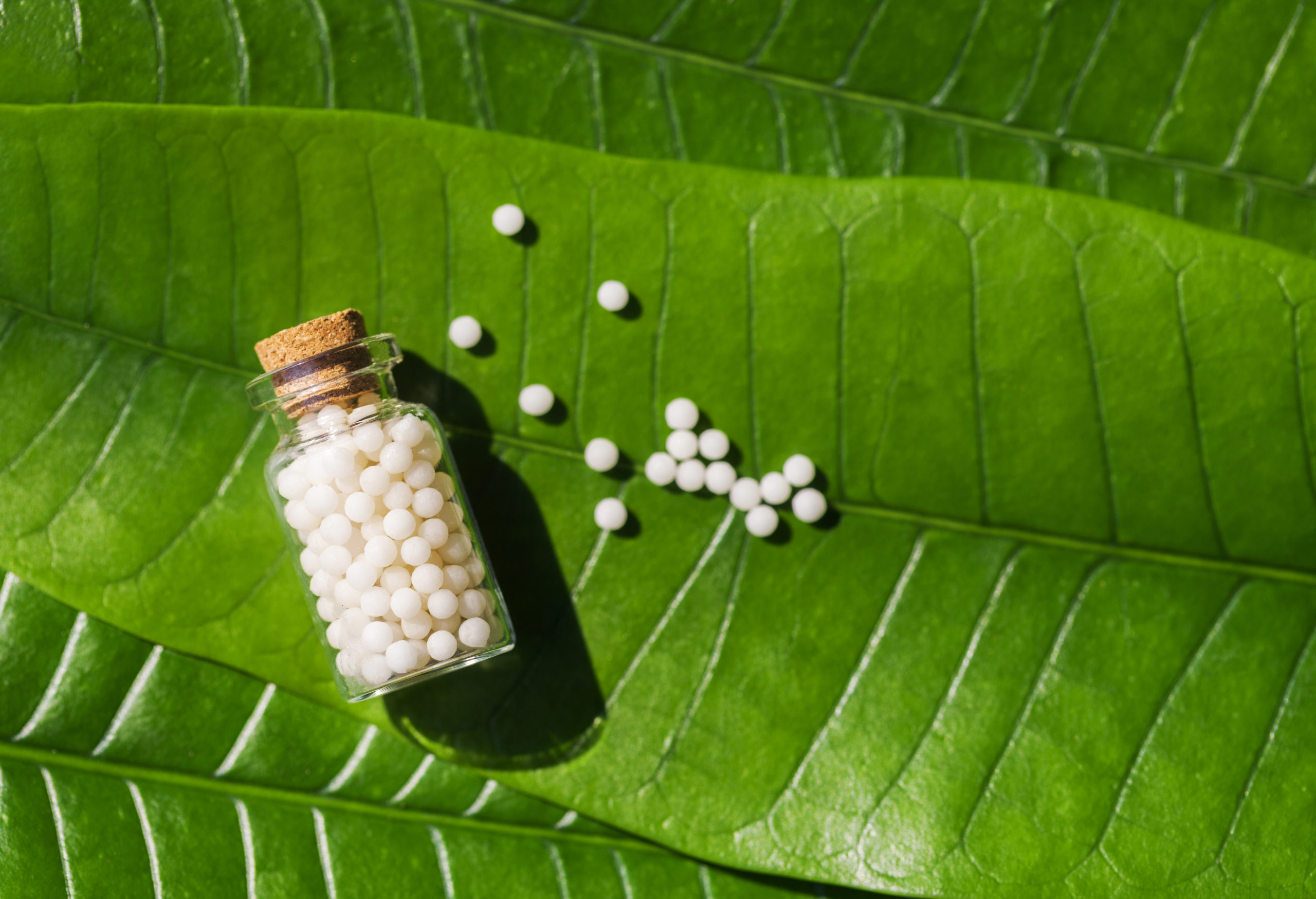 La défense des entreprises du médicament homéopathique